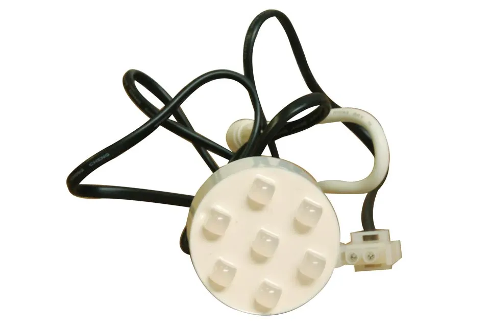 Rising Dragon | Main Light - 7 LEDs