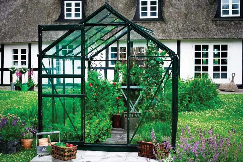 Groen frame | Veiligheidsglas (3 mm)