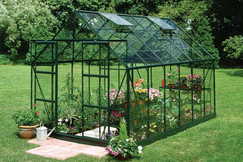 Groen frame | Veiligheidsglas (3 mm)