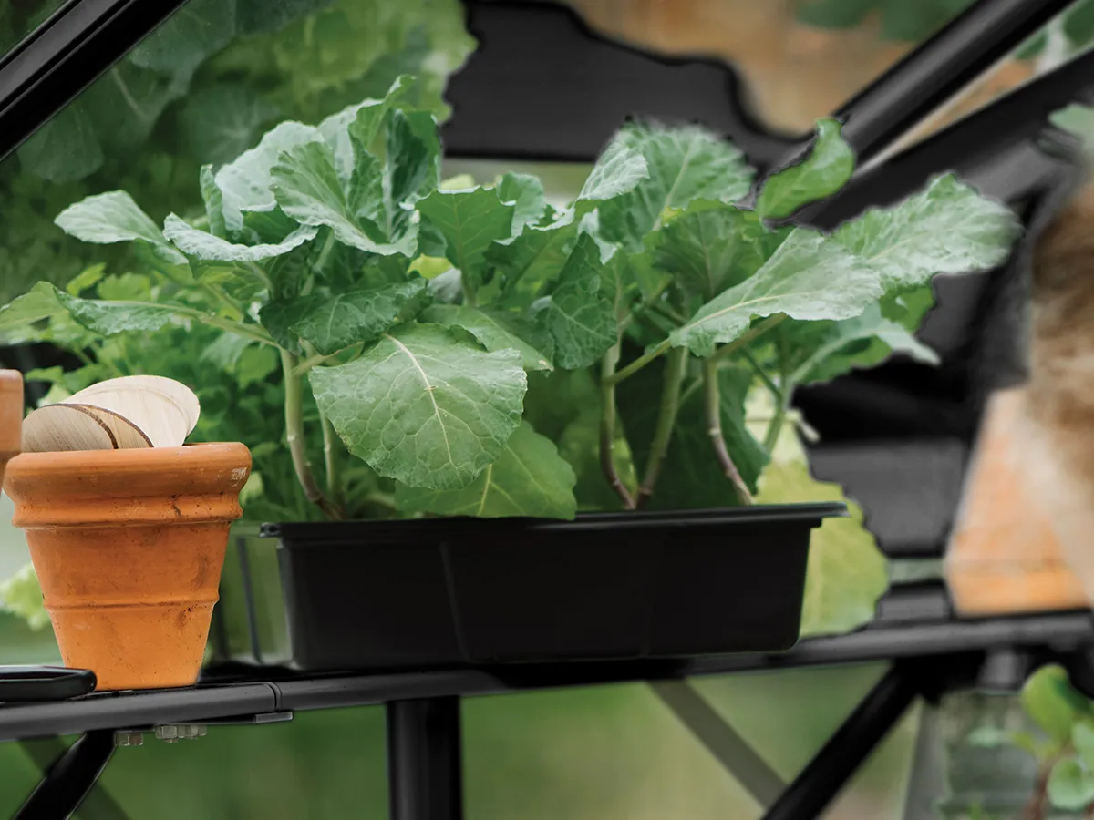 Royal Well | Schap Mary III Tuinkas | Zwart