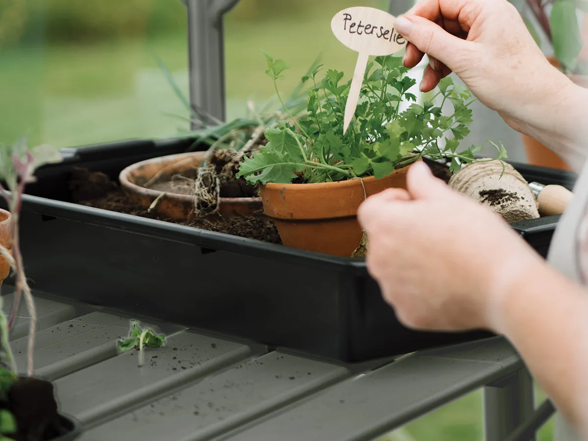 Royal Well | Tafel Mary I Tuinkas | Groengrijs