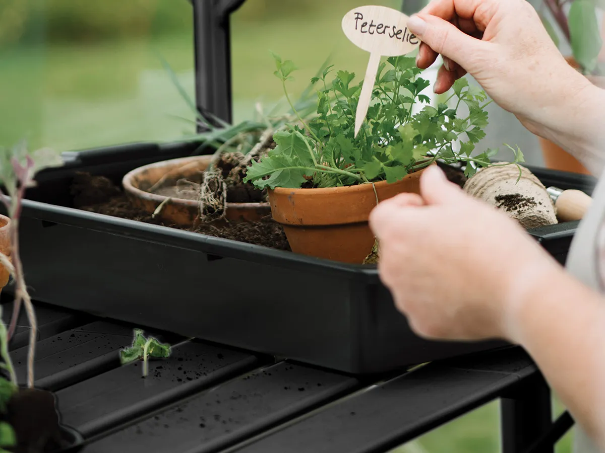 Royal Well | Tafel Anne III Tuinkas | Zwart