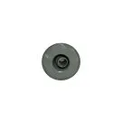 Waterway | 2 Cluster Jet, Adjustable Directional, Snap-In, Smooth, Chrome-DSG"