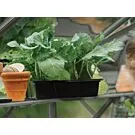 Royal Well | Schap Anne I | Groengrijs