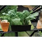 Royal Well | Schap Mary IV Tuinkas | Zwart