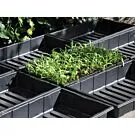 Royal Well | Seed Tray Zaaibak 37,5 x 23 x 6 cm | Set 12 stuks