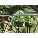 Royal Well | Schap Kate I Tuinkas | Groengrijs