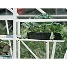 Royal Well | Schap Kate III Tuinkas | Wit