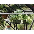 Royal Well | Schap Kate II Tuinkas | Zwart