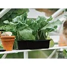 Royal Well | Schap Mary III Tuinkas | Wit