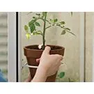 Royal Well | Pothouder Set van 4 | Wit