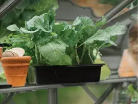 Royal Well | Schap Mary III Tuinkas | Groengrijs