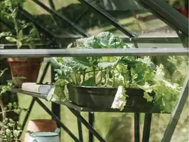 Royal Well | Schap Kate III Tuinkas | Groengrijs