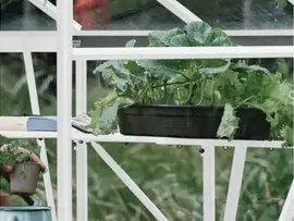 Royal Well | Schap Kate III Tuinkas | Wit