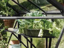 Royal Well | Schap Kate IV Tuinkas | Zwart