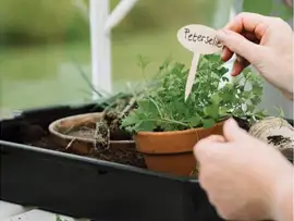 Royal Well | Kweekbak/Container 15 liter