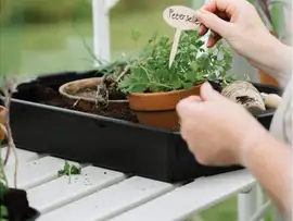 Royal Well | Tafel Mary III Tuinkas | Wit