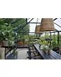 Royal Well | Tuinkamer Grand Oase 25,6 | Veiligheidsglas 3 mm | Antraciet