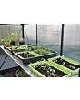 Royal Well | Alu Grower Kweektafel Geïntegreerd | 200 x 62,5 cm