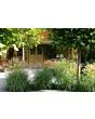 Fonteyn | Tuinhuis Annebeth 600 | HG Groen