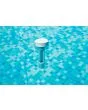 Bestway | Zwembad Thermometer Drijvend