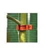 Royal Well | Tomato Clips | 20 stuks