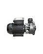 Waterway | Executive Euro Pump - 3 HP, Dual Speed