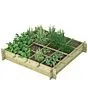 Royal Well | Wild Celery - Geïmpregneerd Grenen