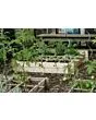 Royal Well | Wild Celery - Geïmpregneerd Grenen