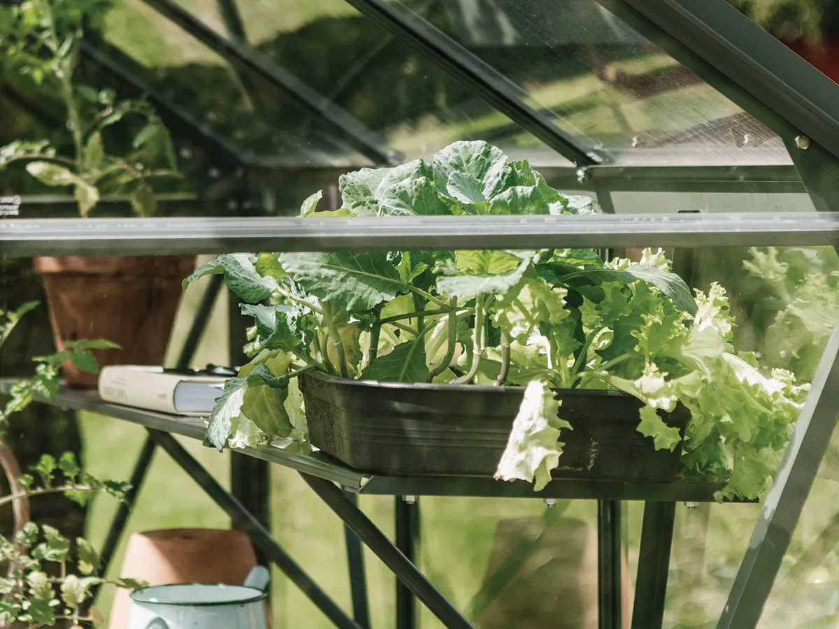 Royal Well | Schap Kate III Tuinkas | Groengrijs