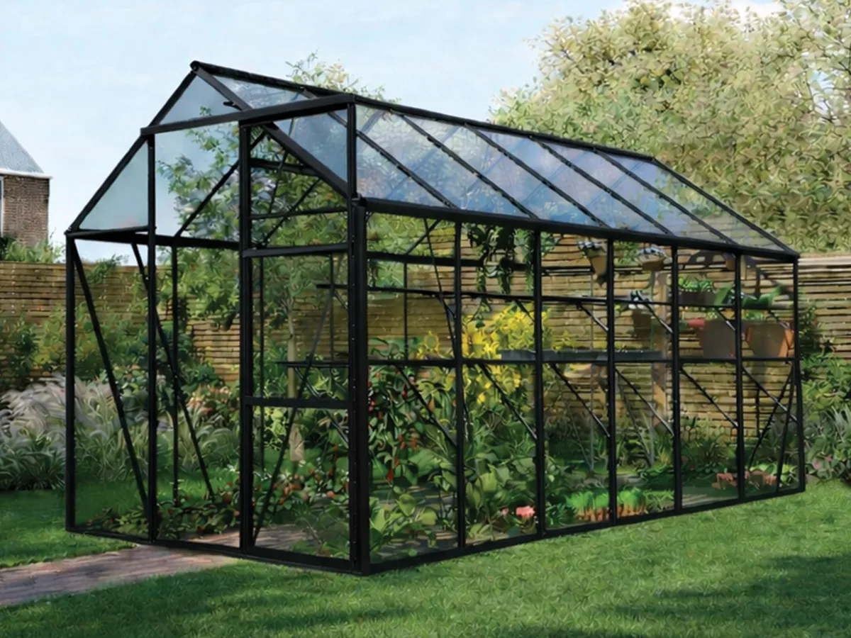 Royal Well | Kate IV Tuinkas | Veiligheidsglas 3 mm | Zwart