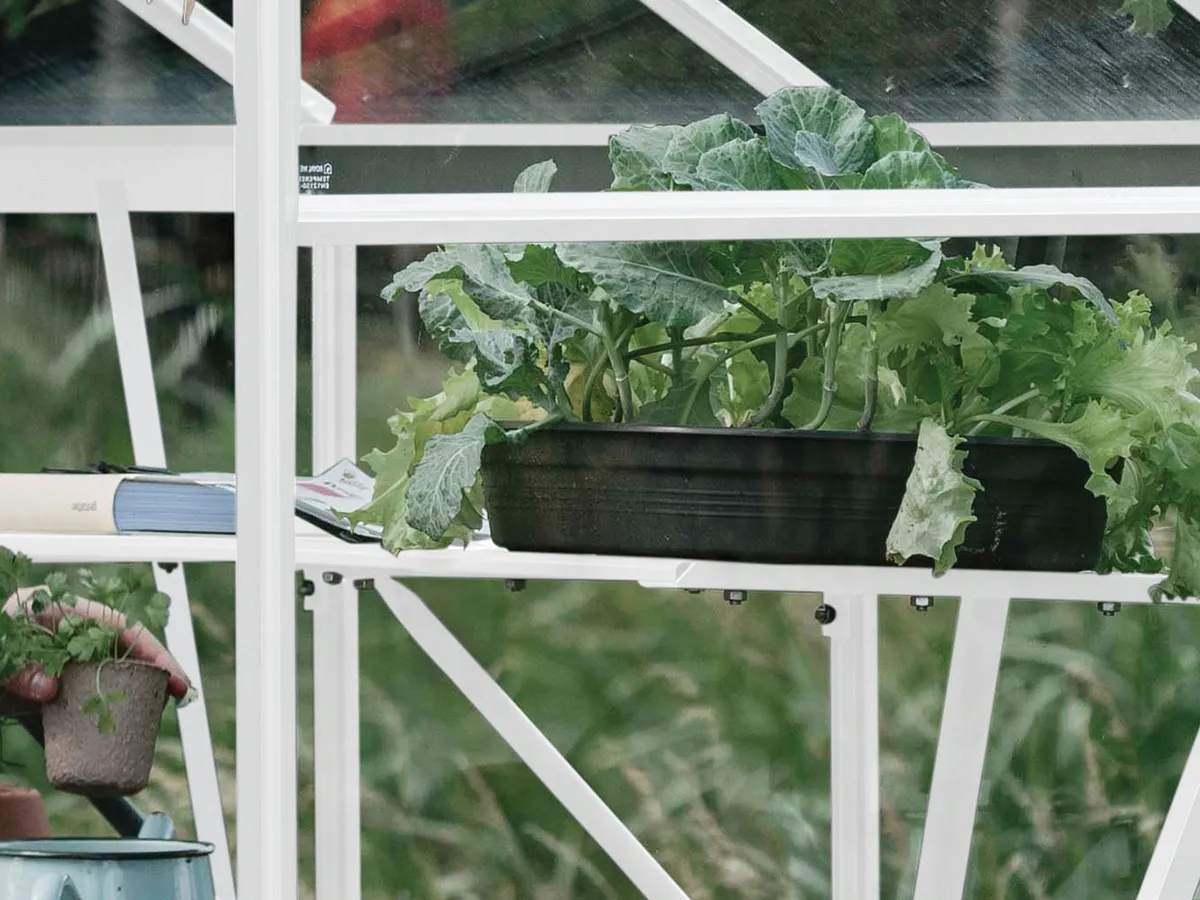 Royal Well | Schap Kate IV Tuinkas | Wit