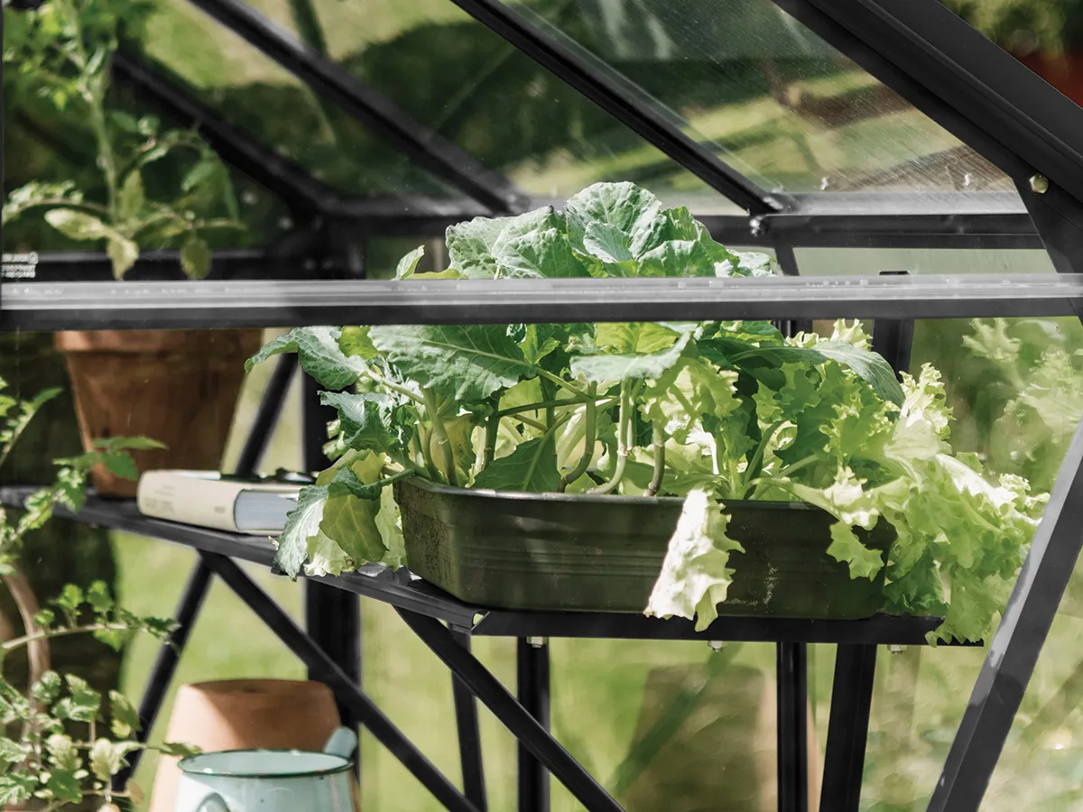 Royal Well | Schap Kate IV Tuinkas | Zwart