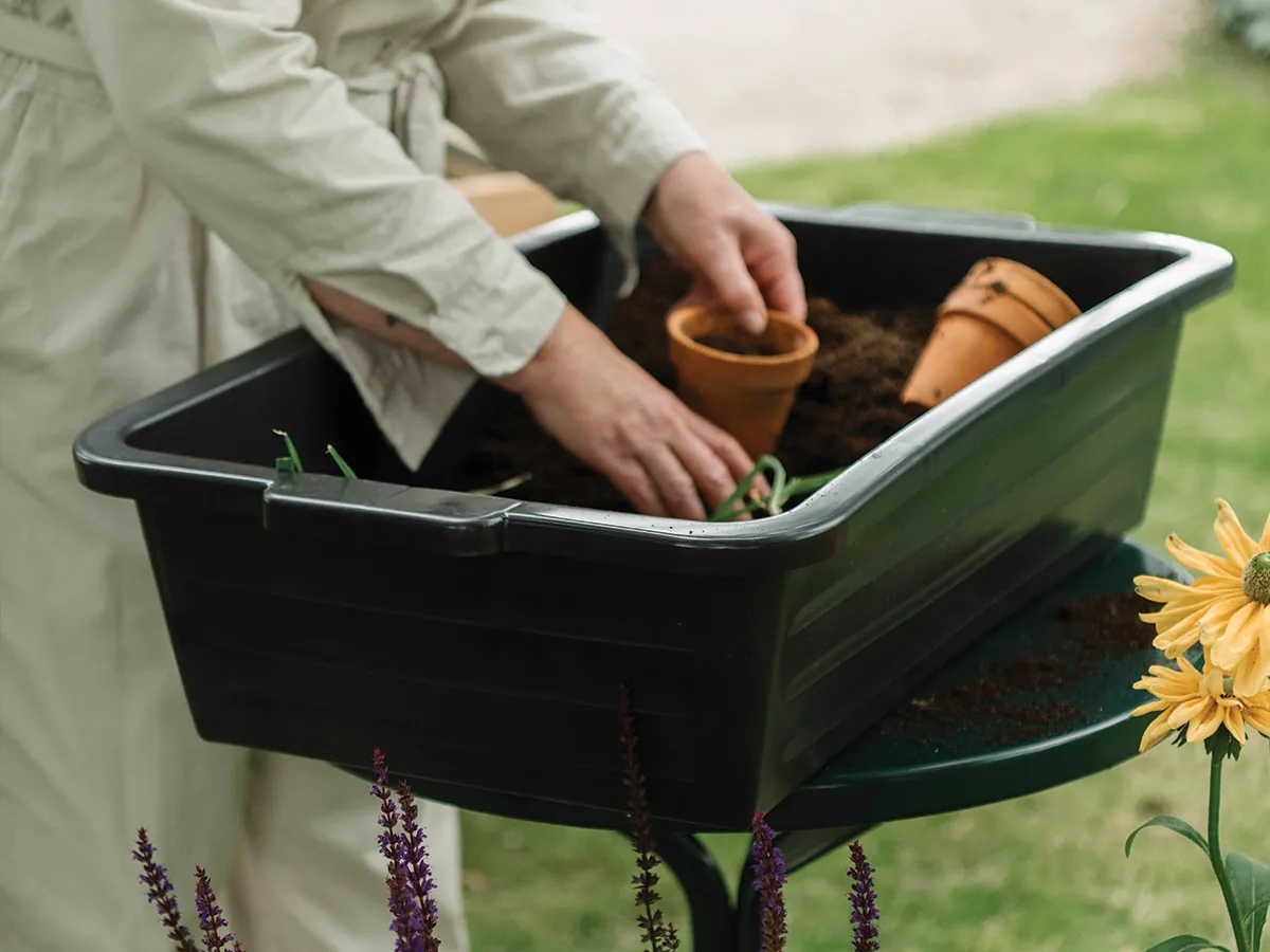 Royal Well | Maxi Container 40 liter