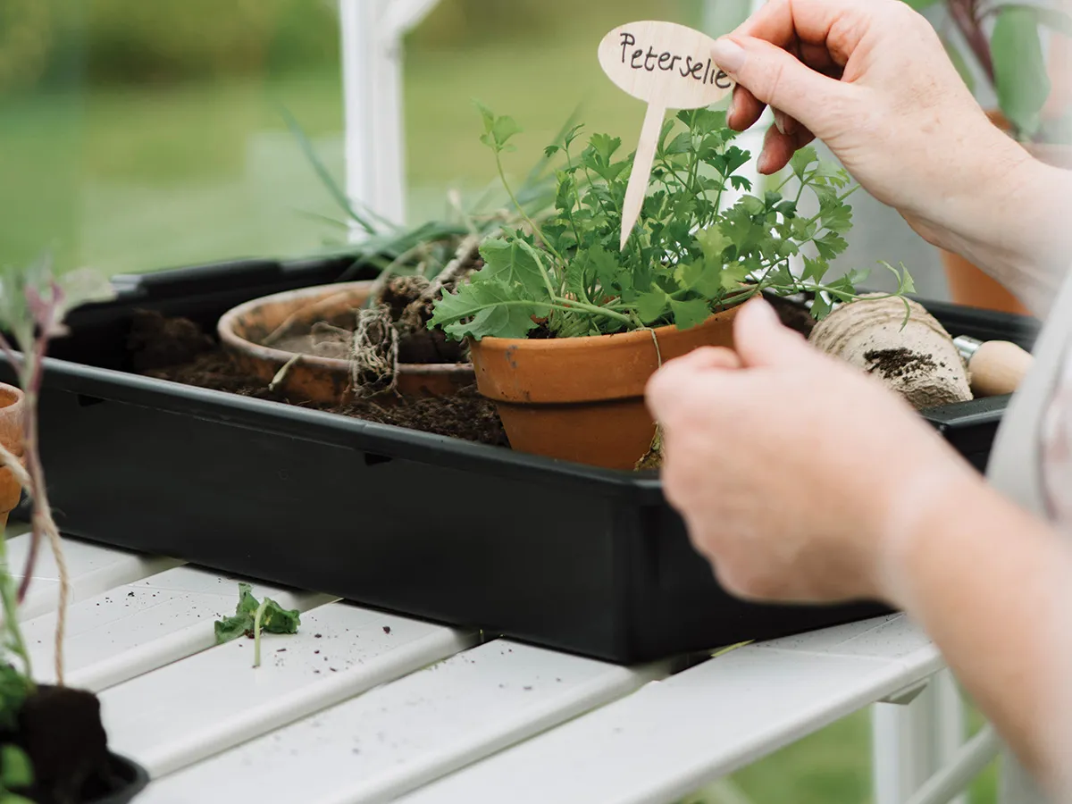 Royal Well | Tafel Mary III Tuinkas | Wit