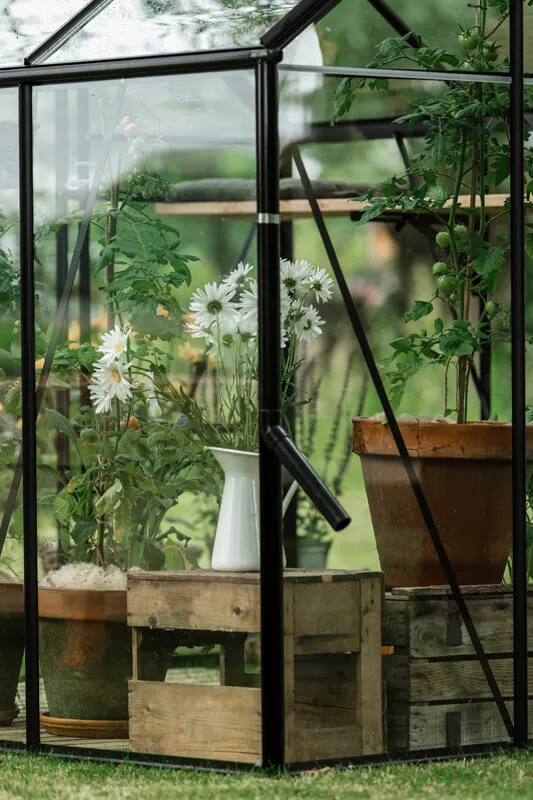 Royal Well | Kate I Tuinkas | Veiligheidsglas 3 mm