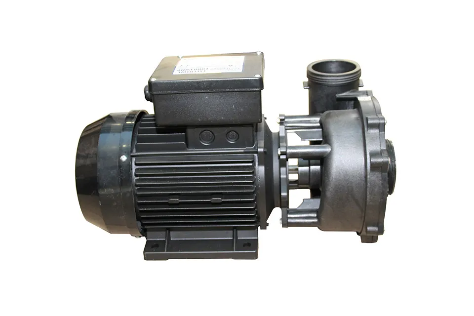 Waterway | Executive Euro Pump - 3 HP, Dual Speed